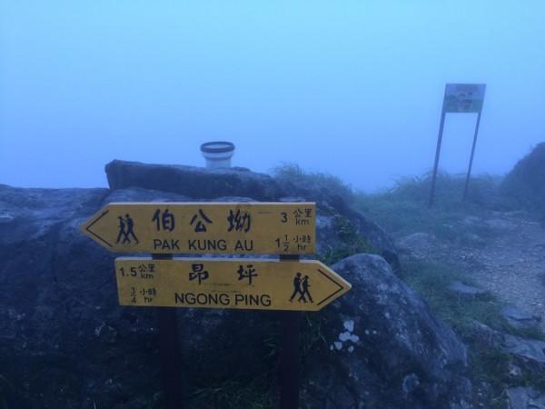 30万起!阿维塔11鸿蒙版智享升级款上市,提升市场竞争力