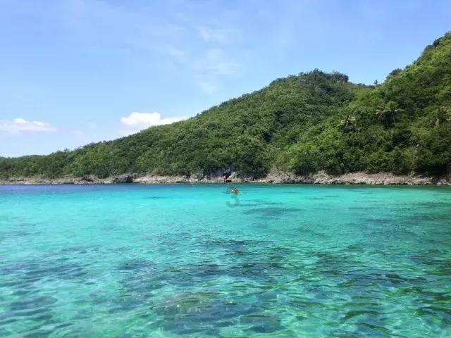 怎么快速去鱼鳞