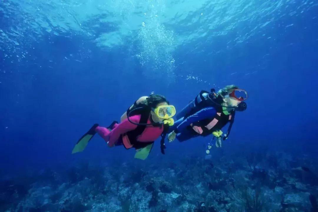 炮轰男爵