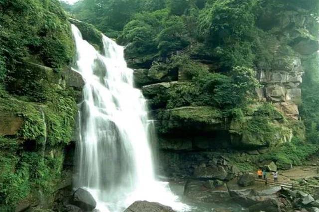 绯雨骑士团