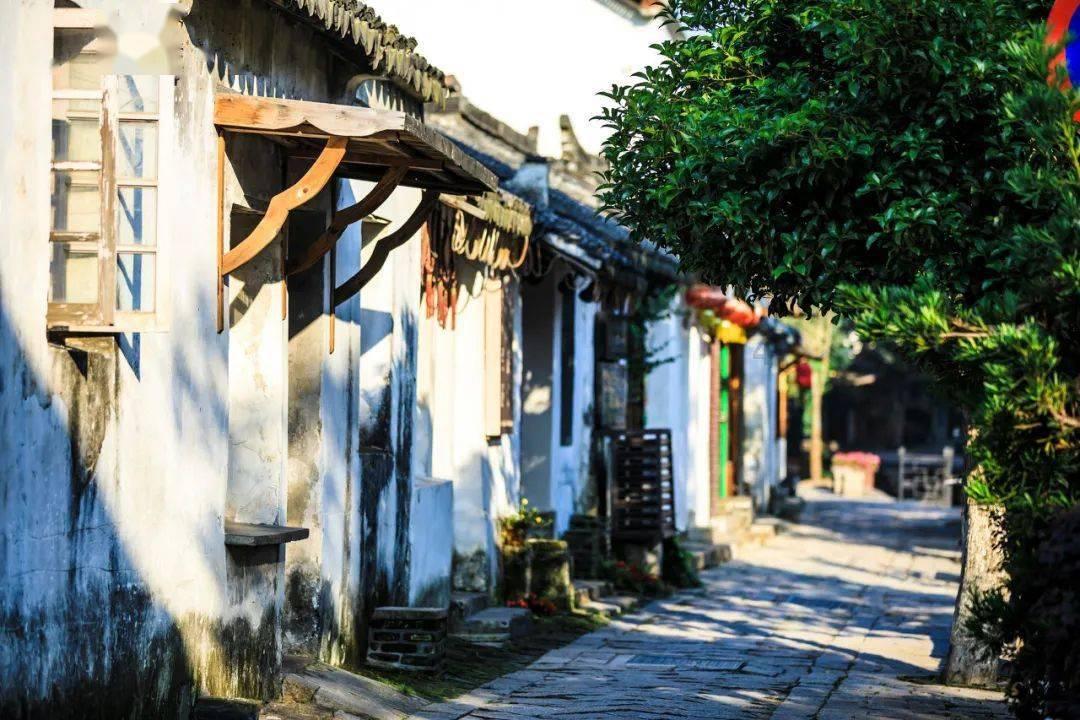 逗小猴开心系列181